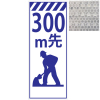 ץꥺ⵱ٹġ300m蹩ʼΩա