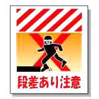 ʼ̿γ򳫤