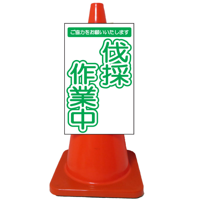 商品写真の拡大を開く