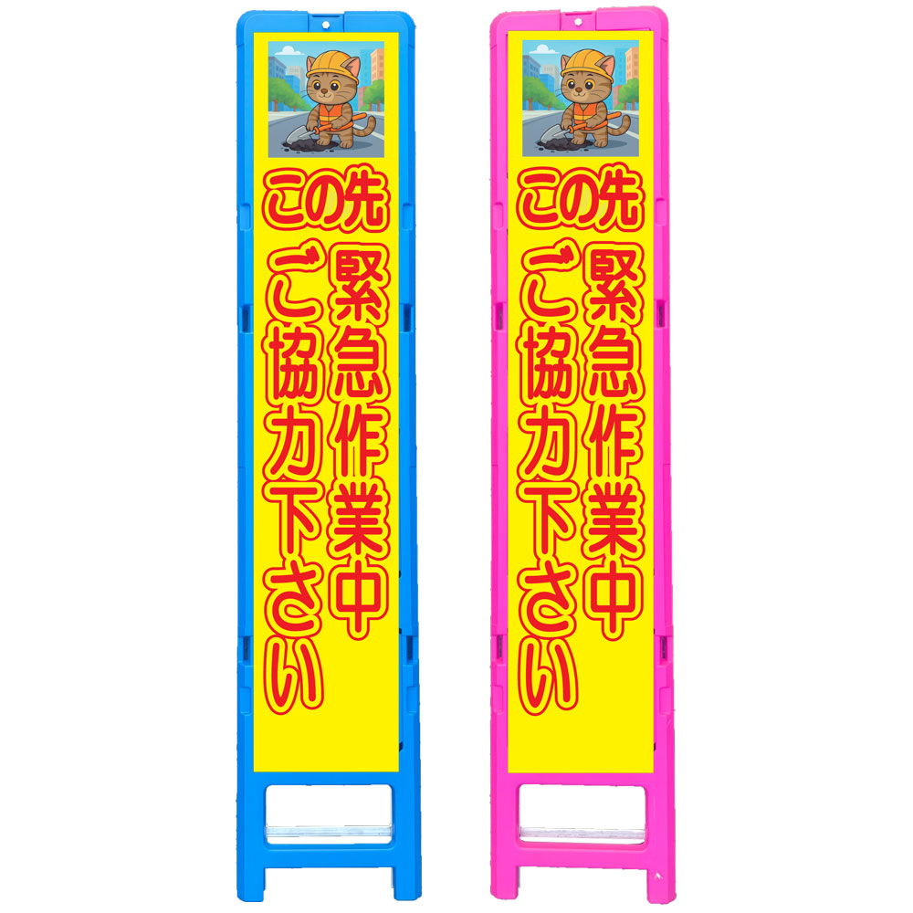 ���ʼ̿��γ���򳫤�